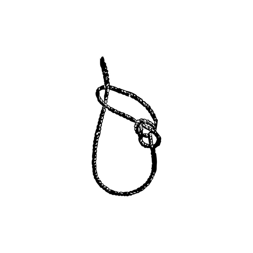 Hilos y cuerdas para arcos