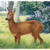 2D JVD Roe Deer Target for Training