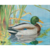2D JVD Duck Target for Training