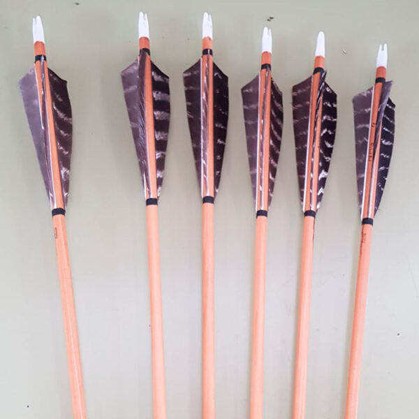 Huntingdoor 12 Flechas de Madera con Plumas Naturales de 5