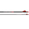 Complete arrow Easton Bloodline 6.0 with Blazer 2" vane