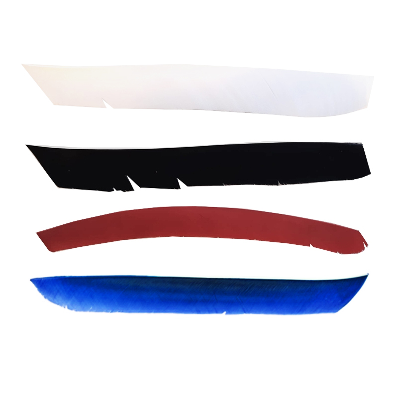 Bearpaw Full Length Feather RH 8"-14" (10 pcs) Bearpaw Full Length Feather RH 8"-14" (10 pcs)