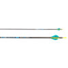 Skylon Phoric Full Carbon Arrow (6 pcs)