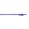 Easton Genesis Complete Arrow in Purple Aluminum (6 pcs)