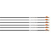 Easton Axis SPT 5mm Arrow with Bully 2" Fletching for Hunting (6 pcs)