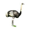 3D Ostrich Foam Target 190x130cm