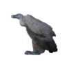 3D Vulture Foam Target 60x80cm