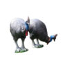 3D Cassowary Foam Target 95x110cm