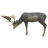 3D Target Grazing Melas Deer SRT 156x90cm