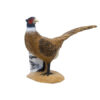 3D Target Brown Pheasant SRT 72x52cm