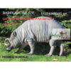 3D Target Babirusa Boar Foam 80x110cm