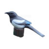 3D Target Magpie Foam 23x35cm
