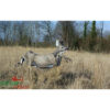3D Target Running Roe Deer Foam 80x150cm