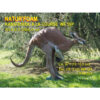 3D Target Kangaroo Foam 200x45x120cm