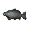 3D Target Carp Foam 23x57cm