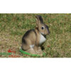 3D Target Sitting Rabbit Foam 29x27cm