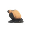 3D Beaver Target 3D Wild Life 44x63x39cm