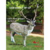 3D Target Roe Deer Foam 130x150cm