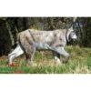 3D Target Lynx Foam 70x120cm