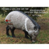 3D Target Peccary Foam 80x25x60cm