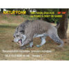 3D Target Saber-Toothed Tiger Foam 140x60x80cm