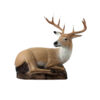 Franzbogen 3D Lying Deer Target 107x93x65cm