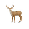 Franzbogen 3D Deer Target 125x150x55cm