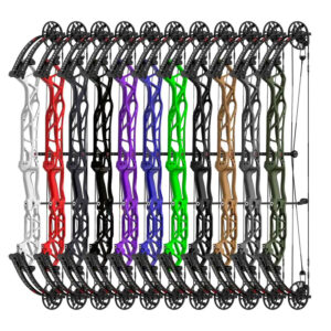 Arco de Poleas Hoyt Concept X 40