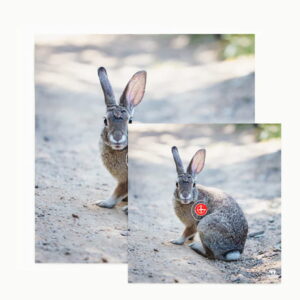 Diana 2D Bearpaw Conejo para entrenamiento