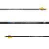 ARROWS SONIC 6.0 250 H-NOCK 2" BLAZER VANES 6MM