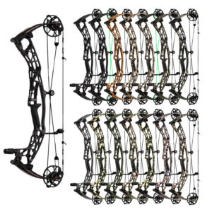 Hoyt Alpha AX-2 32" Bow