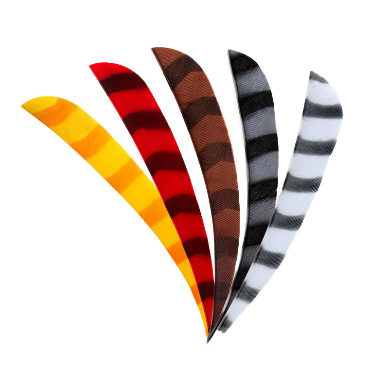 pluma-bearpaw-barrada-parabolica