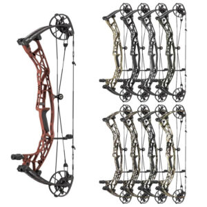 Arco de Poleas Hoyt Alpha AX-3 29