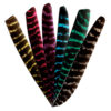 Pluma-natural-10-bearpaw-barrado