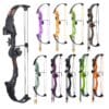 Kit Completo Arco Juvenil Brave Bear Archery RH
